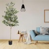 poetree 6FT Tall Olive Trees Artificial Indoor, Olive Tree Plants, Faux Olive Tree with Realistic Trunk, Leaves, Fruits,flower pot for Home Decor - 2 of 4