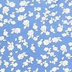 blue white flower
