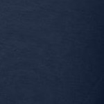navy banana floral embroidery