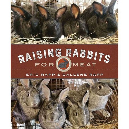 Raising cottontail hot sale rabbits