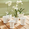 Plum & Post Mirabelle Mini Cachepots Set Of 6 - 2 of 4