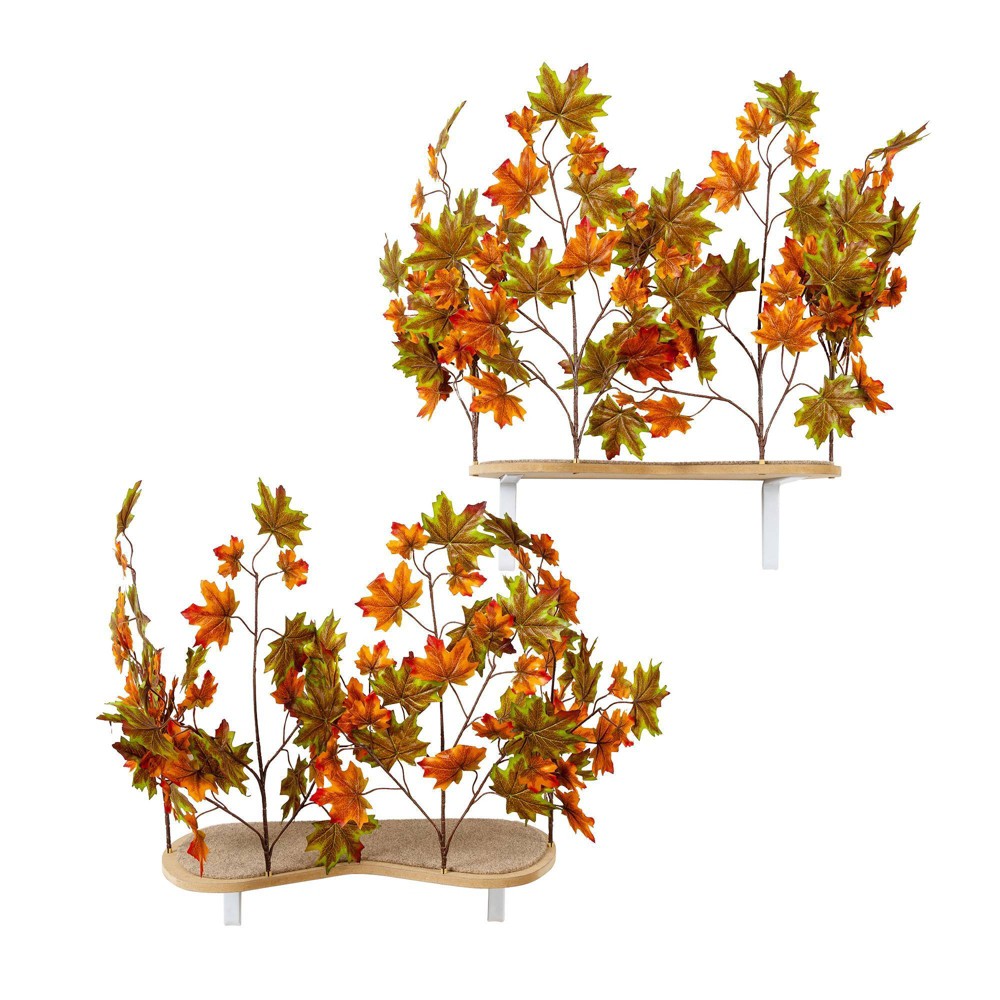 Photos - Bed & Furniture On2Pets Summer Cat Canopy Shelves - Orange/Green - 2ct 