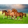 500 Piece Jigsaw Puzzle, Horses in Spring Rush, Animal puzzles, Power and beauty in motion, Adult Puzzle, Castorland B-54084 - 2 of 4