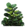 NicBex Artificial Tree Artificial Plant 47" Tall Artificial Fiddle Tree with Pot, Room Decor for Home Office Foyer Porch - 2 of 4