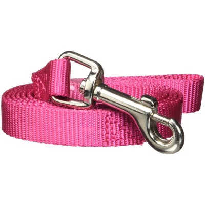 Casual Canine  Basic Nylon Dog Leash, 4-Feet x 5/8-Inch Lead, Raspberry Sorbet