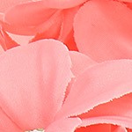 light red