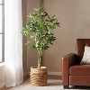 Okak 63IN Artificial Pachira Aquatica Tree with Nature Look Trunk, Indoor Faux Plants with Large Hand-Shaped Leaves, Faux Tree for Living Room, Green - 2 of 4