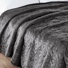 Plush Heated Blanket Pinsonic Quilt Super Soft Electric Throw, Controller with 10 Hours Auto Shutoff and 20 Heat Level Setting - 2 of 4