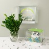 Pavilion Gift Company - Someone Special Blue Flower - 3.5oz 100% Soy Wax Candle Scent: Jasmine - Flame Candles - 4 of 4