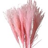 Alilang Decorative Mixed Dried Flower Bouquet for Home Decoration and Event Arrangements, 17 Inches - Red - 2 of 4