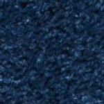 navy/ivory