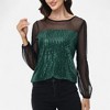Anna-Kaci Women's Sheer Mesh Long Sleeve Top with Sequin Front Panel and Crew Neckline - 2 of 4