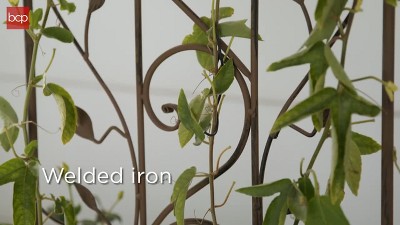 Bronze Iron Arched Garden Trellis with Bird and Branch Design