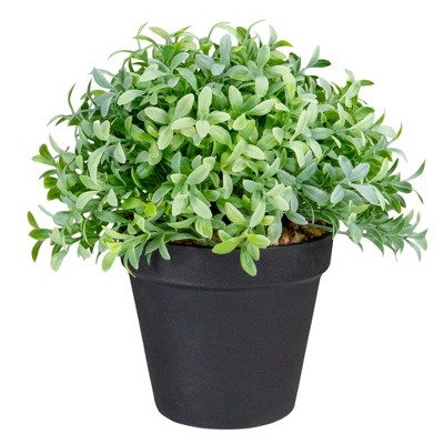 Northlight 7.5" Potted Green Artificial Boxwood Plant