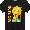 Boys' - Sesame Street - Big Bird Photo Short Sleeve Graphic T-Shirt - 2 of 4