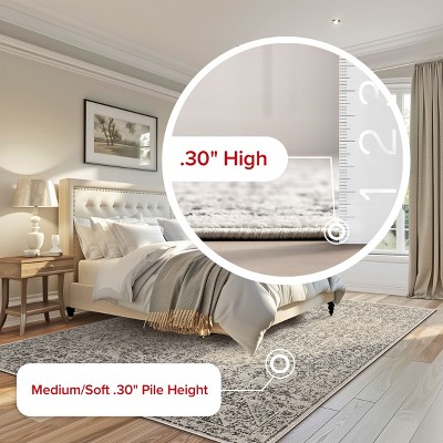 Minta Gray Vintage Reversible Rectangular Area Rug