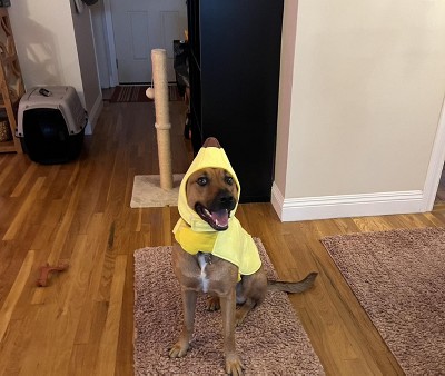 Guest review image 1 of 1, zoom in