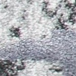 dark grey/light grey