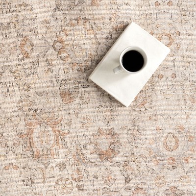 Light Brown Rectangular Synthetic Vintage Medallion 4' x 6' Area Rug