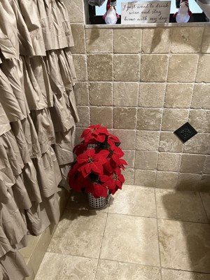 Guest review image 1 of 3, zoom in