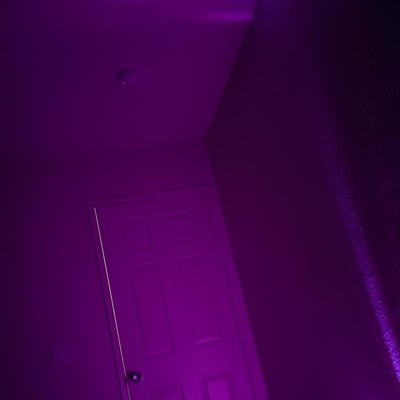Guest review image 2 of 2, zoom in