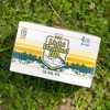 Bell's Light Hearted IPA Beer - 6pk/12 fl oz Cans - 3 of 4