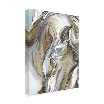 Trademark Fine Art -Jennifer Paxton Parker 'Horse Abstraction I' Canvas Art