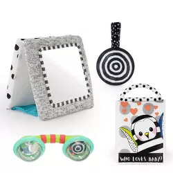 Sassy Toys Look & Learn Gift Set - 4pc