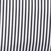 blackstripe