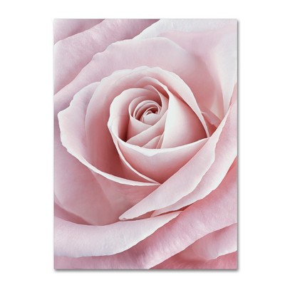 Large Pale Pink Rose Abstract Canvas Art