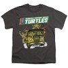 Teenage Mutant Ninja Turtles Teenage Mutant Ninja Turtles Van Youth T Shirt, Charcoal - 2 of 4