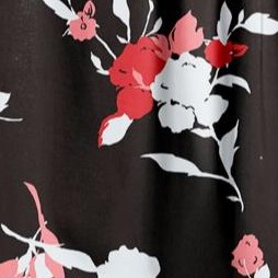 black shadow dahlia
