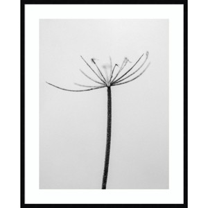 33" x 41" Amid The Flowers 6 by Teis Albers - Amanti Art: Botanical Giclee, Modern Home Decor - 1 of 4