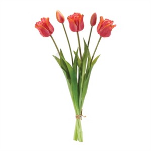 Tulip Floral Bundle (Set of 2) - 1 of 1