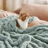 Cozy Comfort by Bedsure | Cute Soft Cozy Checkered 260GSM Throw Blanket for Couch Twin Size White - 4 of 4