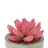 Unique Bargains Artificial Plants Mini Pulp with Graptopetalum Plastic Green 2.76"x2.76"x3.15" 1 Pc - 4 of 4