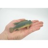 Collectible Wildlife Gifts | Asian Sheepshead , Kobudai, Japan, Saltwater, Rubber Fish, Realistic, Model,  Toy, Gift,   4 1/2"   F0415  B378 - 3 of 4