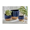 tagltd Basin Reactive Blue Glaze Stoneware Planter Small, 4.1L x 4.1W x 3.9H inches - 2 of 2
