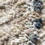 cream, denim, rust, light gray, medium gray, light brown