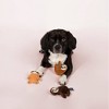 PetShop by Fringe Studio Basic Sloths Set Dog Toys - 3pk - 2 of 3