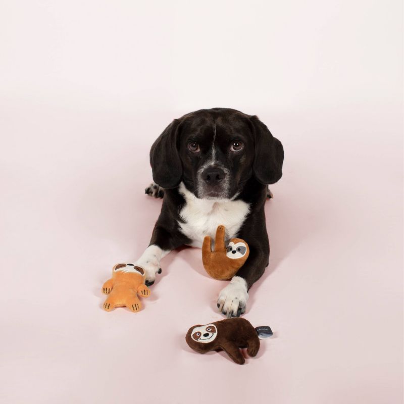 PetShop by Fringe Studio Basic Sloths Set Dog Toys - 3pk, 3 of 5