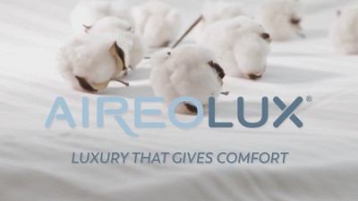 Aireolux Twin Beige Cotton Polyester Microfiber Sheet Set