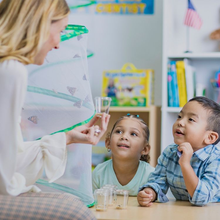 Insect Lore Butterfly Growing Classroom Prepaid Kit, Voucher for 33 Caterpillars, 4 of 4