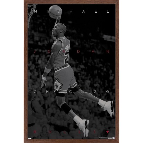 Michael Jordan - Timeline Wall Poster, 14.725 x 22.375, Framed