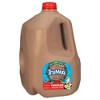 TruMoo Chocolate Milk - 4 of 4
