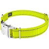 Country Brook Petz Premium Reflective Nylon Dog Collar - 2 of 4