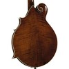 Kentucky KM-656 Standard F-Style Mandolin Transparent Brown - 4 of 4