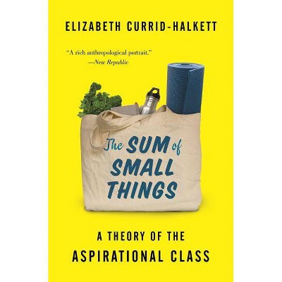 The Sum of Small Things - by  Elizabeth Currid-Halkett (Paperback)