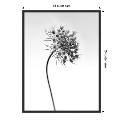 Black and White Botanical Lithograph Canvas Print with Black Frame