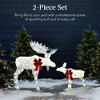 Best Choice Products 2-Piece Moose Family Lighted Christmas Yard Décor Set w/ 370 LED Lights, Stakes, Zip Ties - 2 of 4